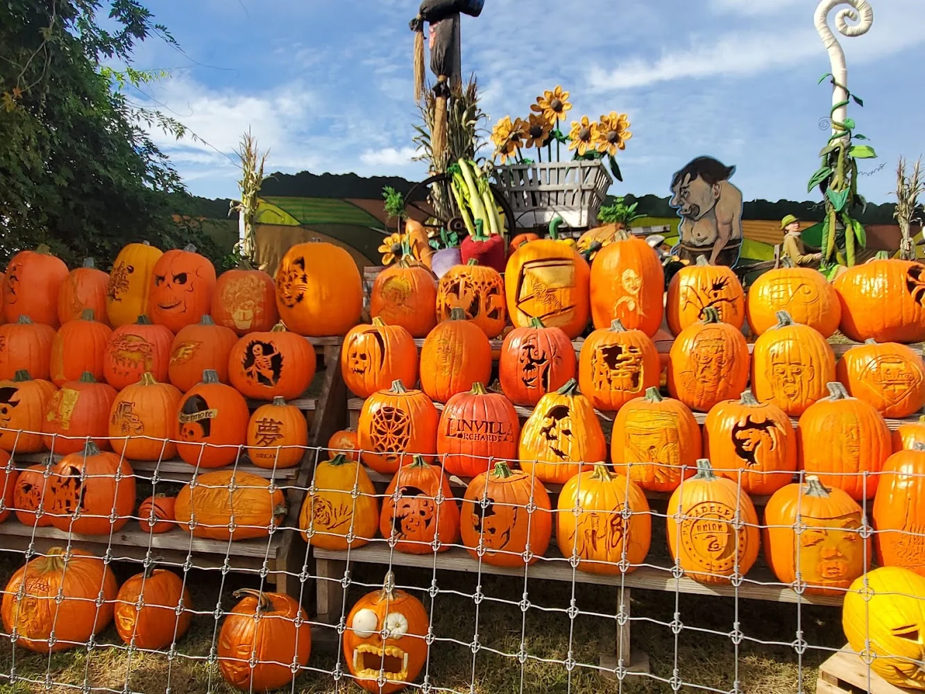 Linvilla Orchards pumpkin patch and fall festival in Media, PA