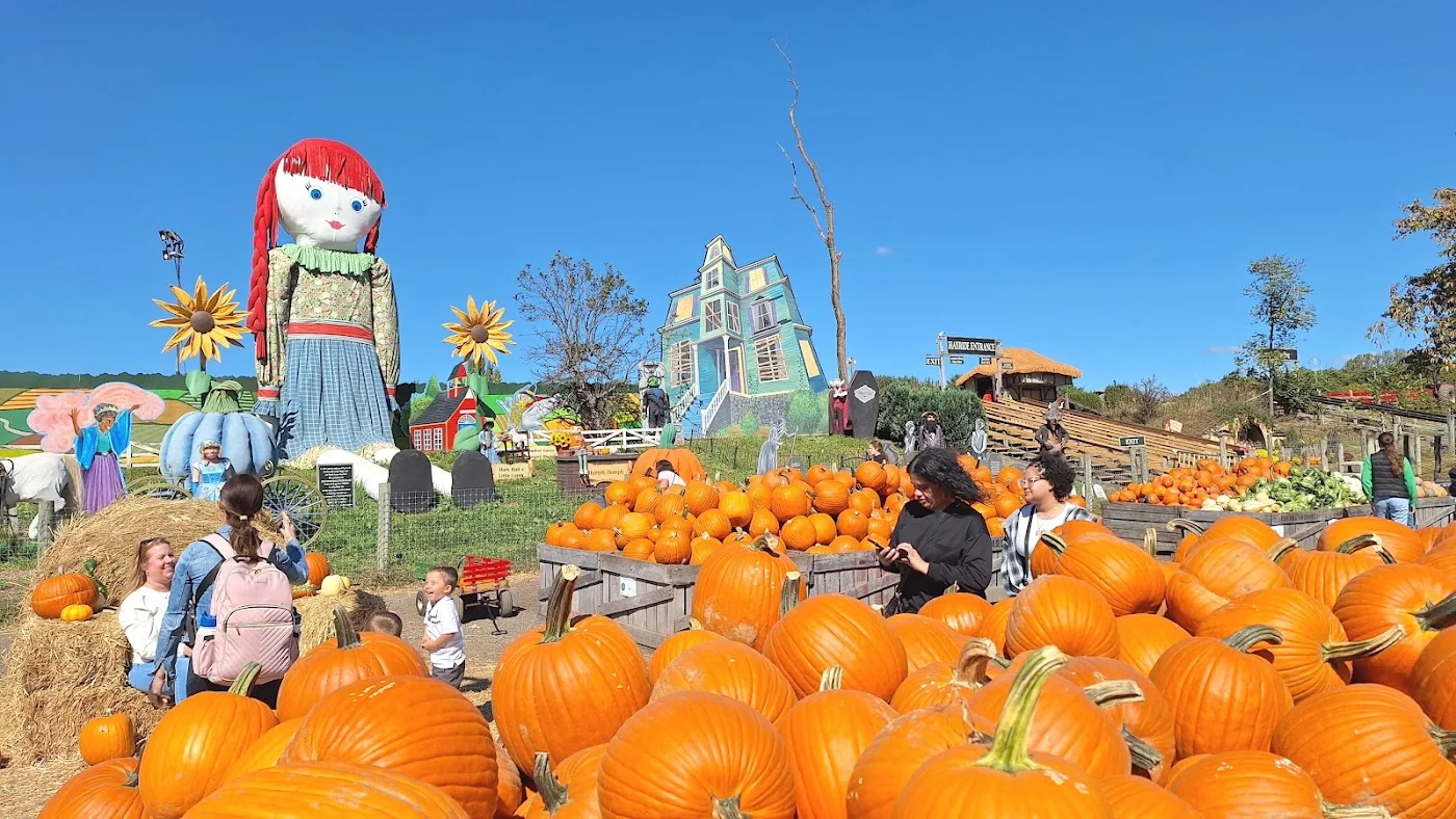 Linvilla Orchards pumpkin patch and fall festival in Media, PA