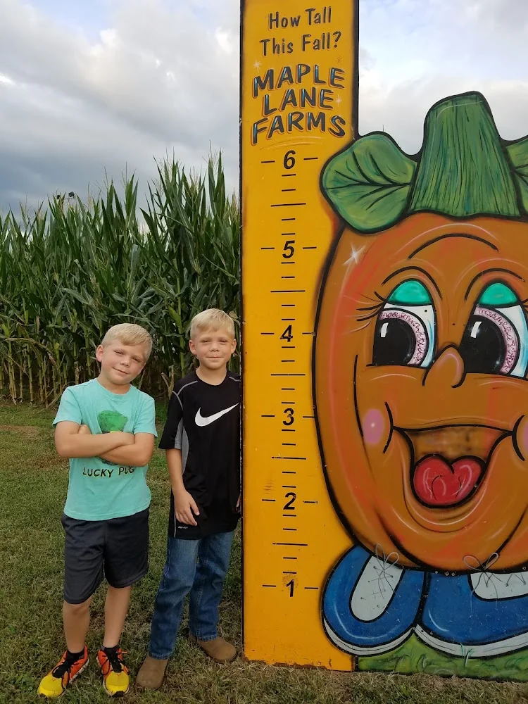 Maple Lane Farms pumpkin patch and fall festival in Greenback, TN