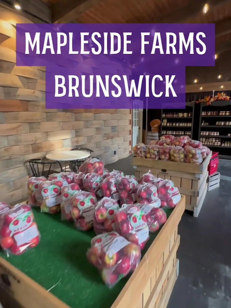 Mapleside Farms pumpkin patch and fall festival in Brunswick, OH