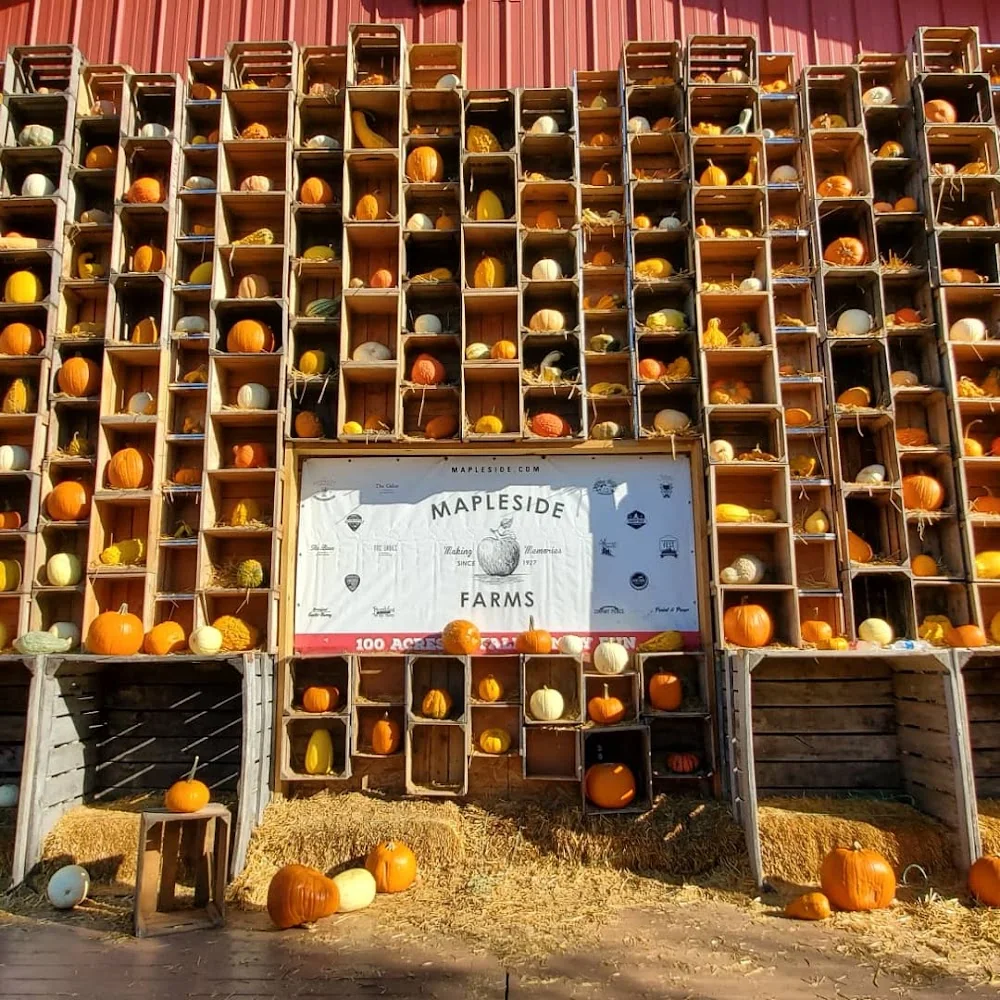 Mapleside Farms pumpkin patch and fall festival in Brunswick, OH