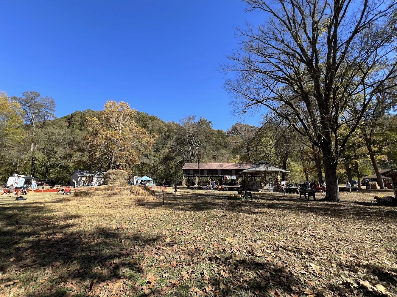 Nashville Fall Festival pumpkin patch and fall festival in Nashville, TN