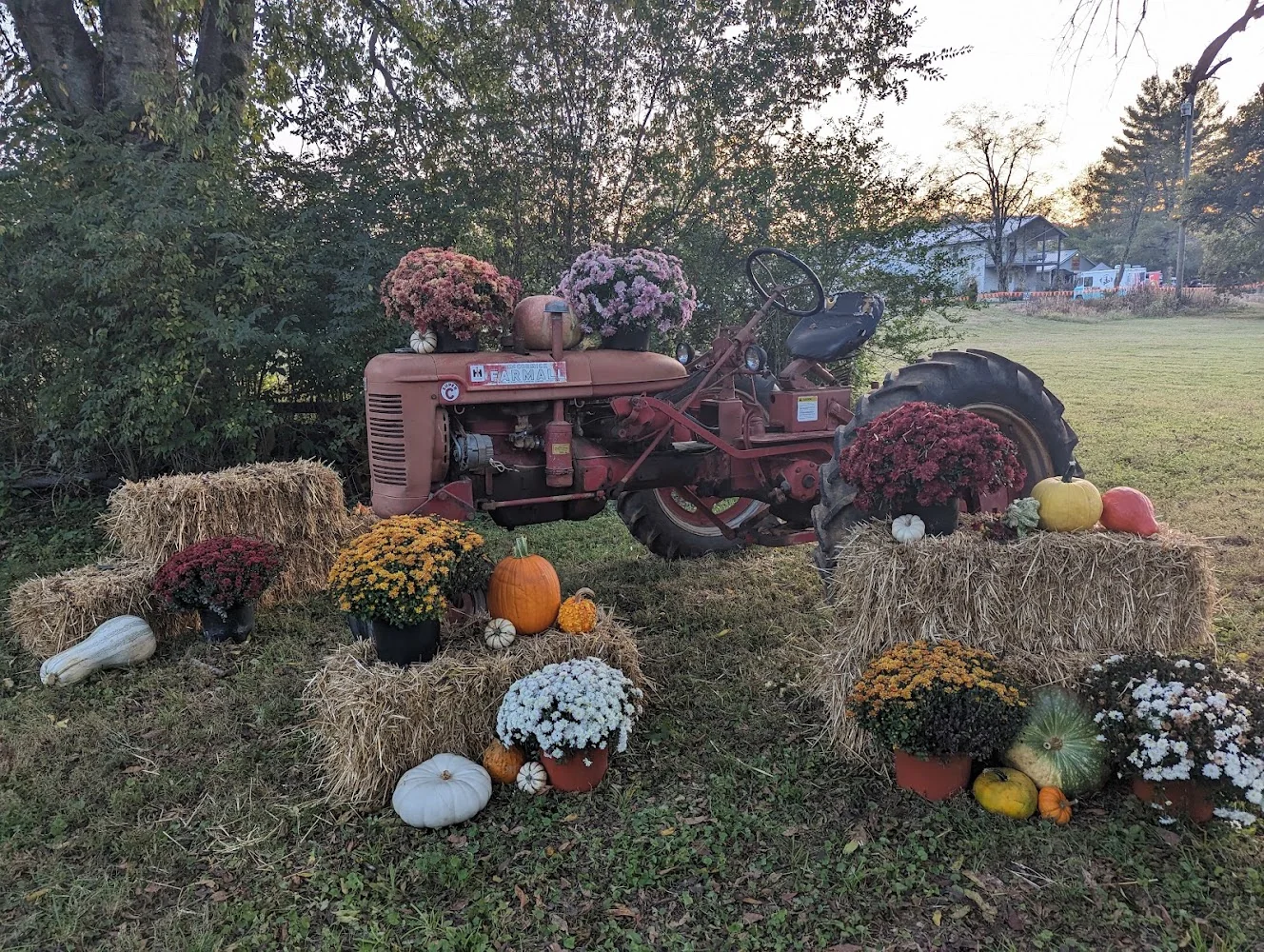 Nashville Fall Festival pumpkin patch and fall festival in Nashville, TN