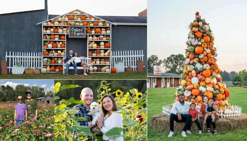 Oakes Farm pumpkin patch and fall festival in Corryton, TN