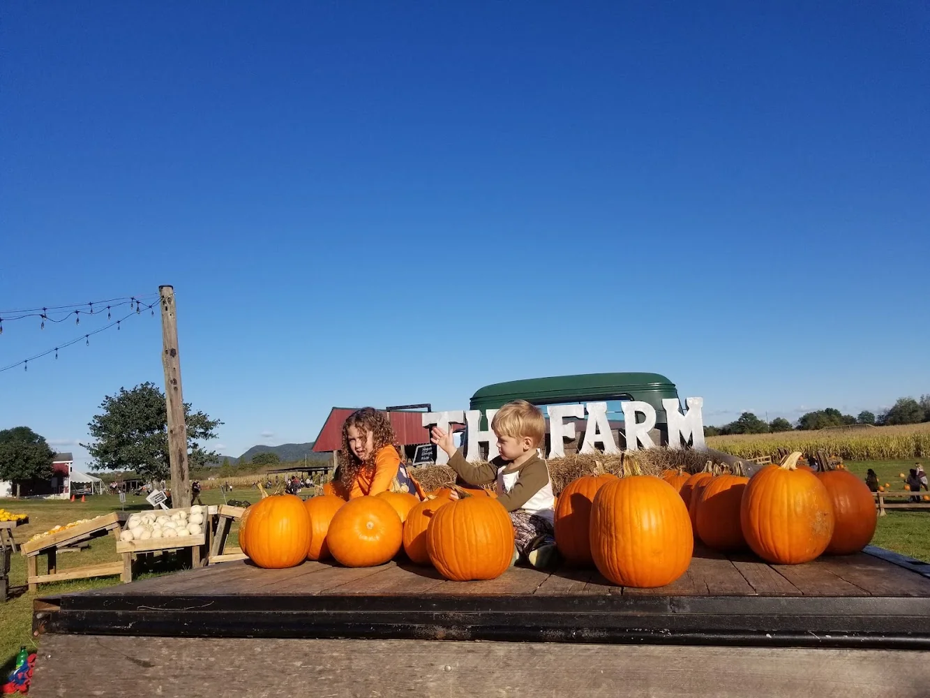 Oakes Farm pumpkin patch and fall festival in Corryton, TN