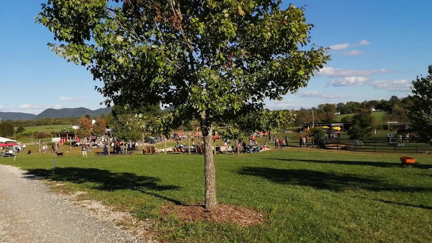 Oakes Farm pumpkin patch and fall festival in Corryton, TN