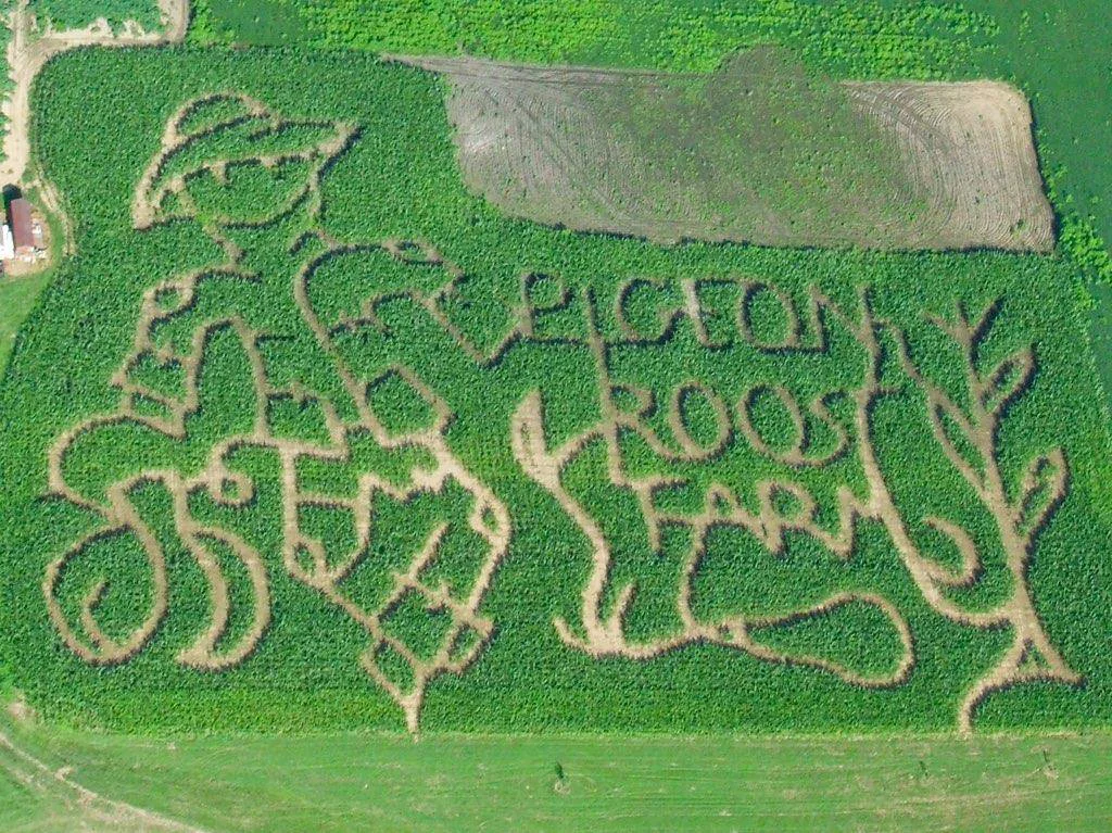Pigeon Roost Farm pumpkin patch and fall festival in Hebron, OH