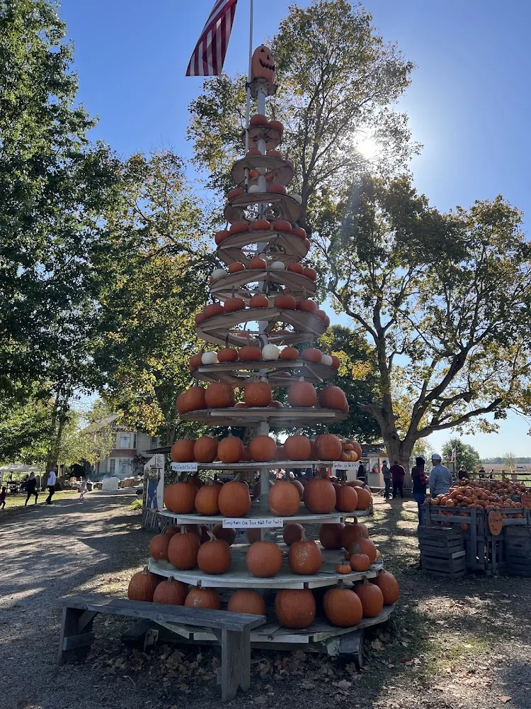 Pigeon Roost Farm pumpkin patch and fall festival in Hebron, OH