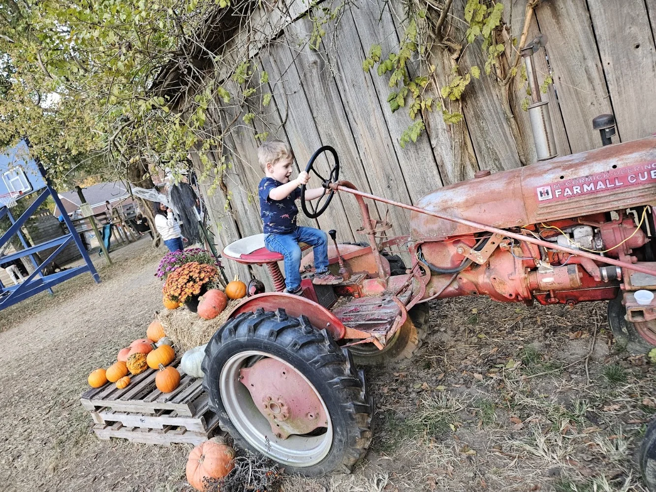 Priddy Farms pumpkin patch and fall festival in Bartlett, TN