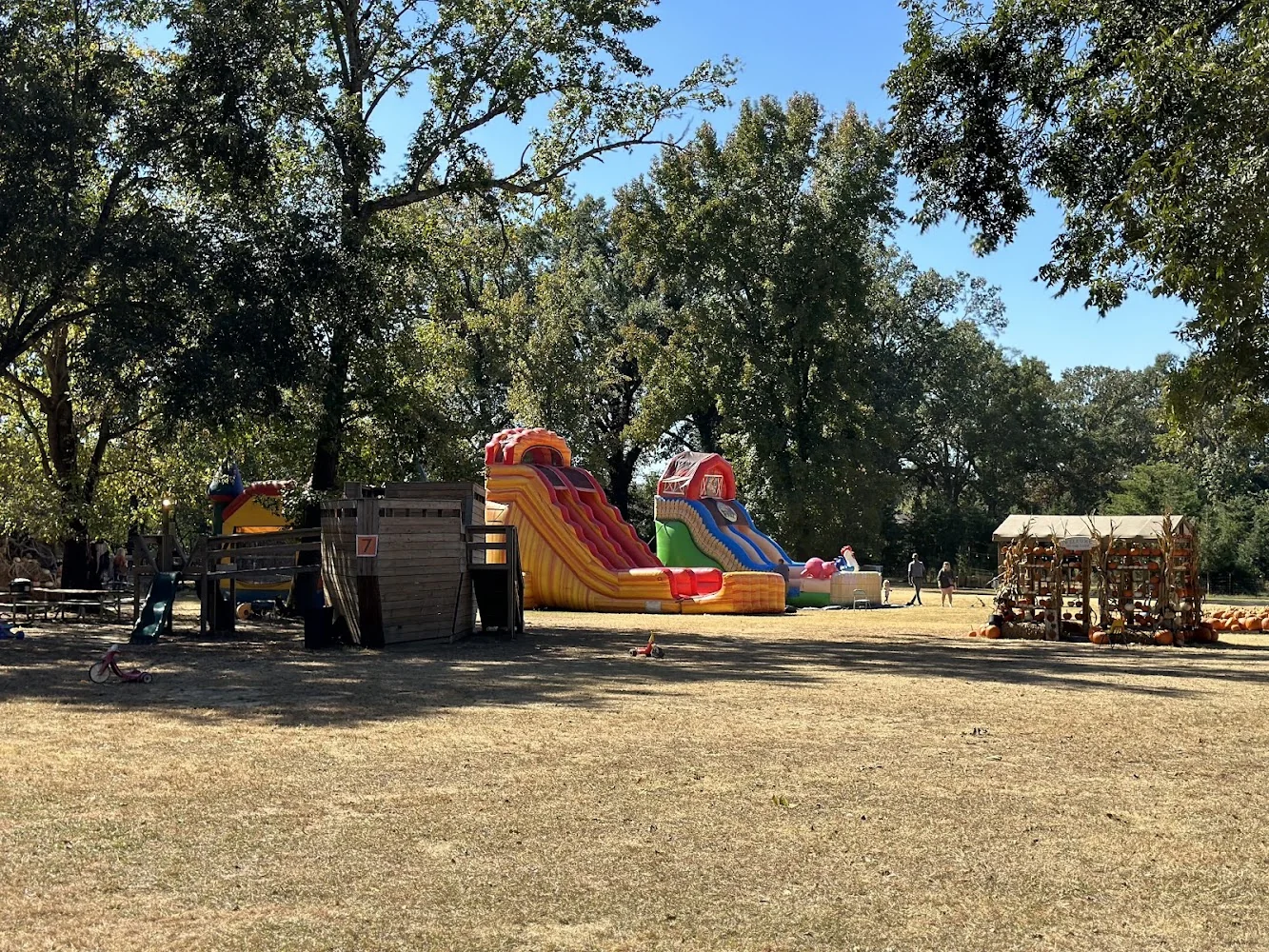 Priddy Farms pumpkin patch and fall festival in Bartlett, TN