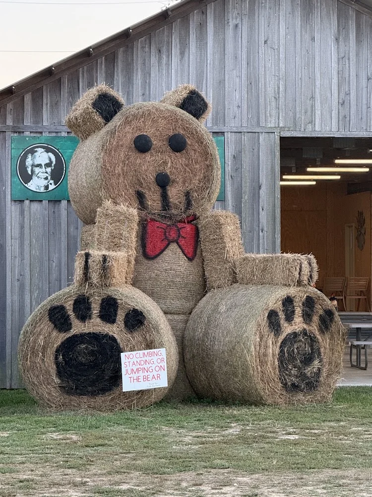 Shuckle's Corn Maze at Fiddle Dee Farms pumpkin patch and fall festival in Greenbrier, TN