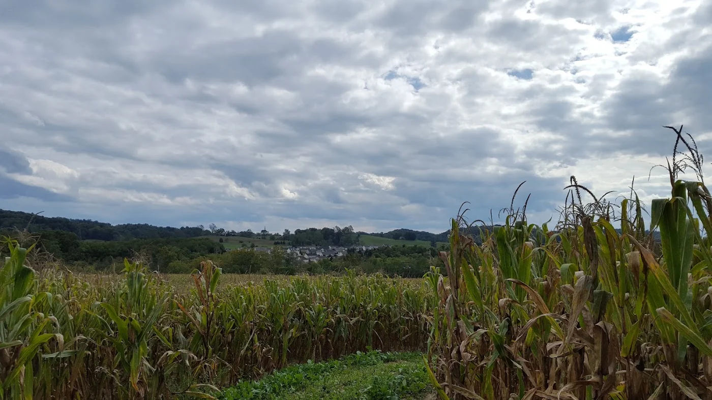 The Stickley Farm pumpkin patch and fall festival in Bluff City, TN