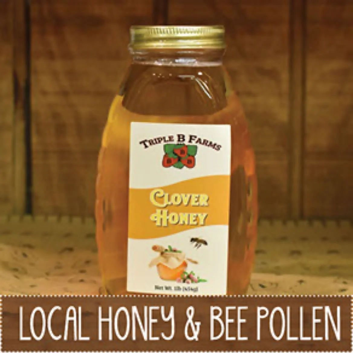 Triple B Farms pumpkin patch and fall festival in Monongahela, PA