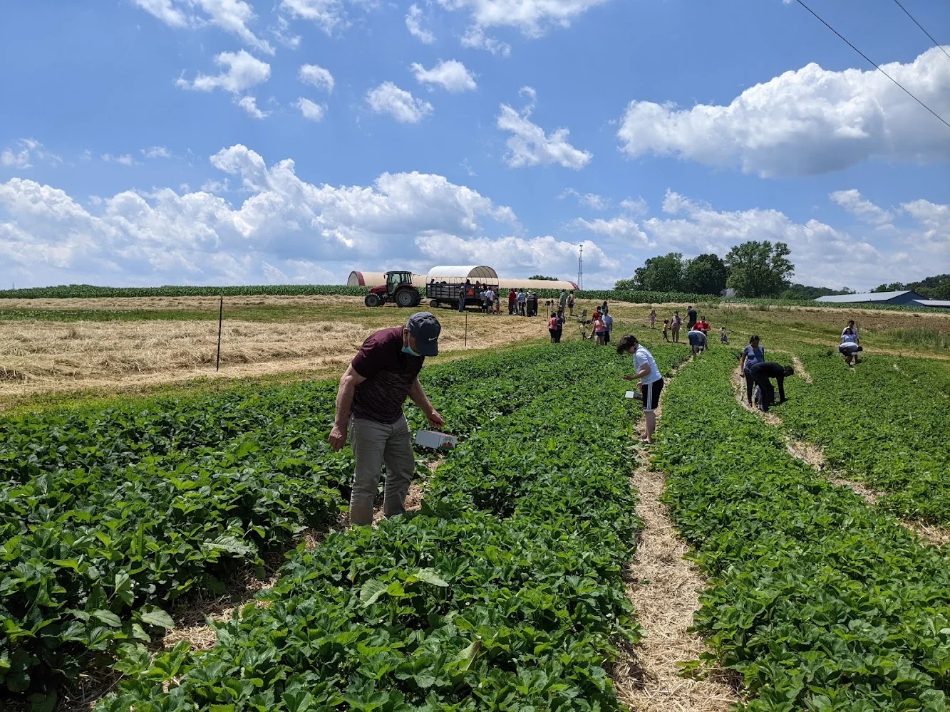 Triple B Farms pumpkin patch and fall festival in Monongahela, PA