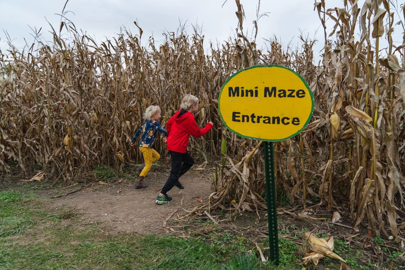 Vesperman Farms pumpkin patch and fall festival in Lancaster, WI