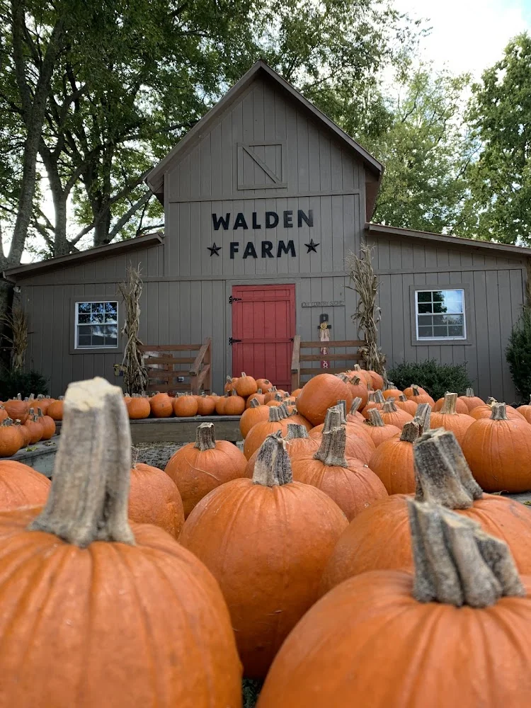 Walden Pumpkin Farm pumpkin patch and fall festival in Smyrna, TN