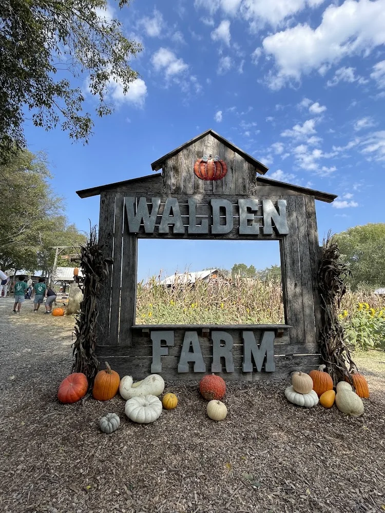 Walden Pumpkin Farm pumpkin patch and fall festival in Smyrna, TN