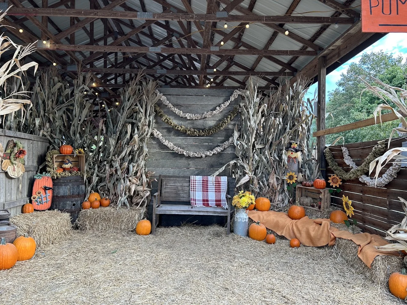Walden Pumpkin Farm pumpkin patch and fall festival in Smyrna, TN