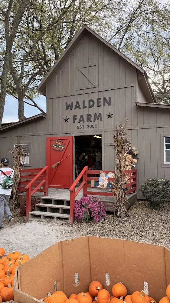Walden Pumpkin Farm pumpkin patch and fall festival in Smyrna, TN